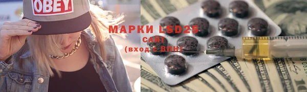 винт Алзамай