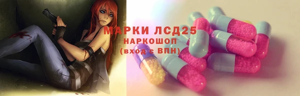 винт Алзамай