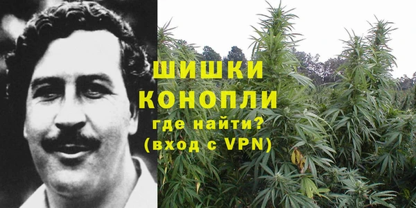 винт Алзамай