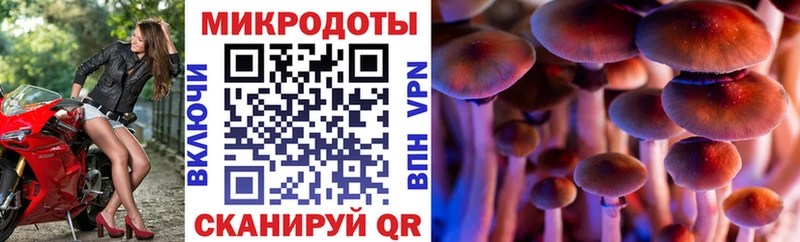Псилоцибиновые грибы прущие грибы Межгорье