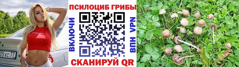 Псилоцибиновые грибы мухоморы кракен ССЫЛКА Межгорье